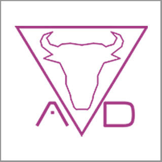 Project AD