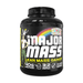 VMI Sports Major Mass - FitOne Nutrition Center